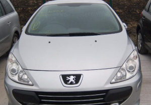 Peugeot 307 2.0 i